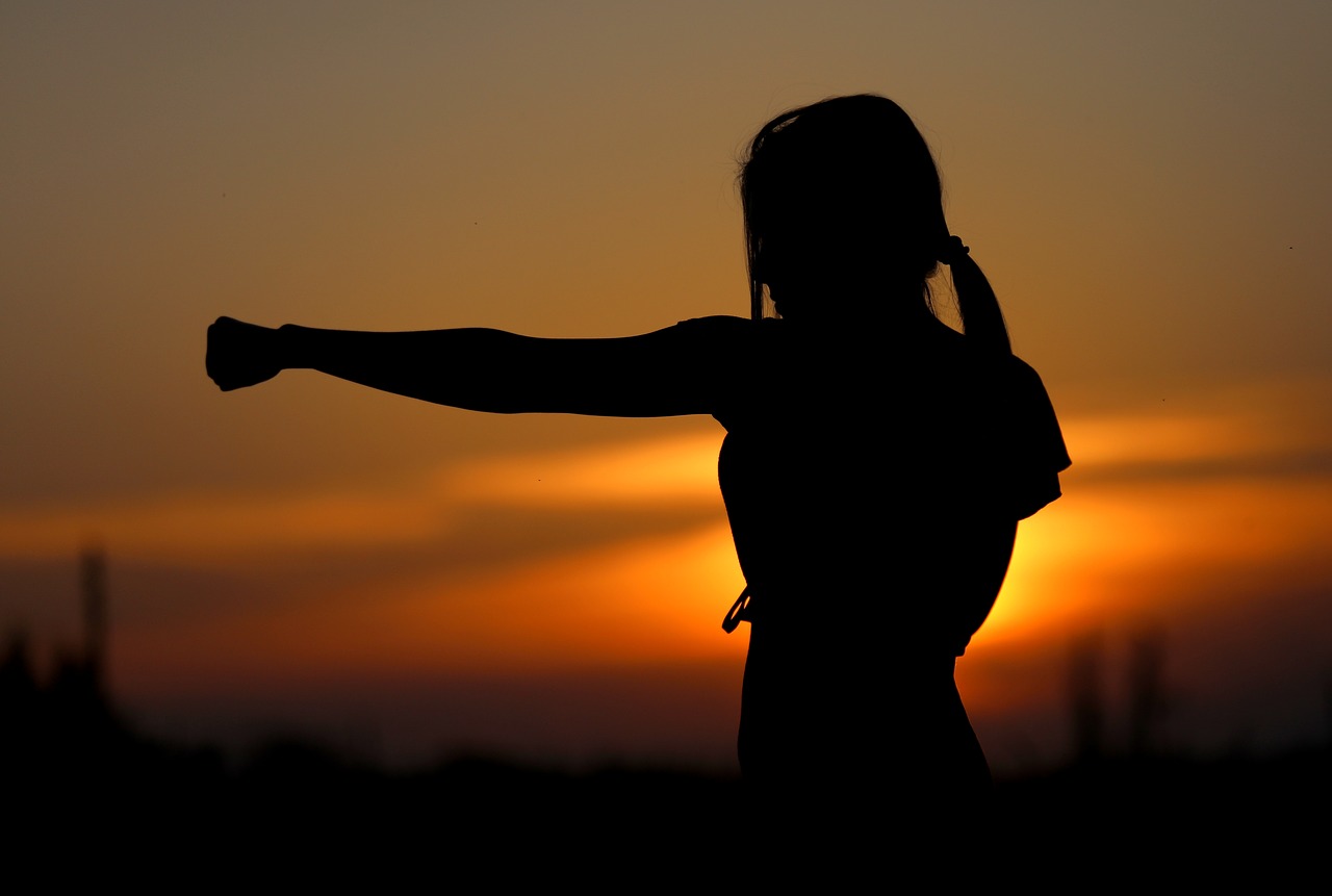 Samurajky (Zdroj: https://pixabay.com/en/karate-sunset-fight-sports-2578819/)